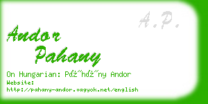 andor pahany business card